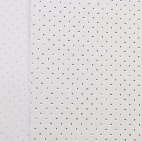 dYzTntNGMnQq-IMG_20230808_152020_edit_346102825390001